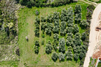 Cittanova – Terreno edificabile per 12 appartamenti, 500 m dal mare 4