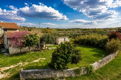 Šarmantna kamena kuća s pomoćnim objektom na prostranom zemljištu 2