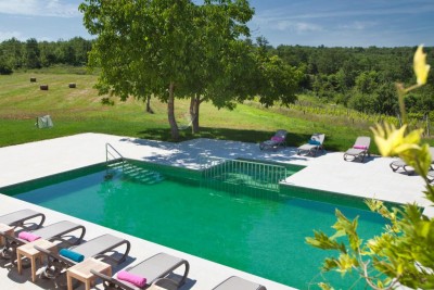 An authentic Istrian estate located on a spacious plot of land 4