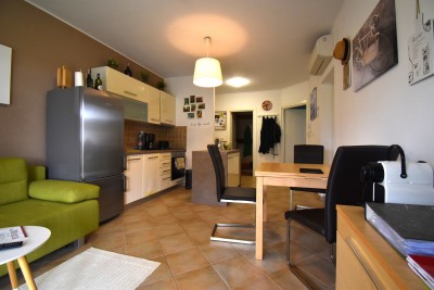 Beautiful furnished apartment on the ground floor in a quiet location with nice land 8