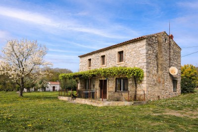 Autentica casa in pietra istriana da ristrutturare nei pressi di Umago 3