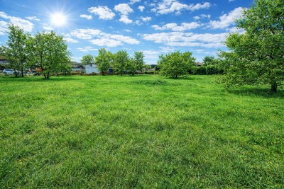 Ampio terreno edificabile a 4 km dal mare – possibilità di costruire 3 unità abitative