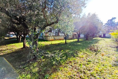 House with 2 apartments and a studio apartment 3 km from Poreč 28