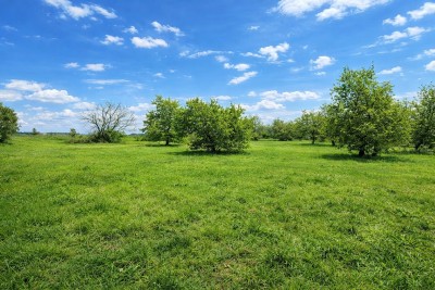 Ampio terreno edificabile a 4 km dal mare – possibilità di costruire 3 unità abitative