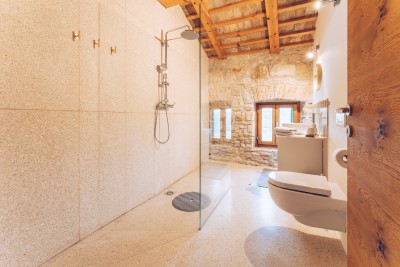 Novigrad okolica, unikatna kamena vila s bazenom 14