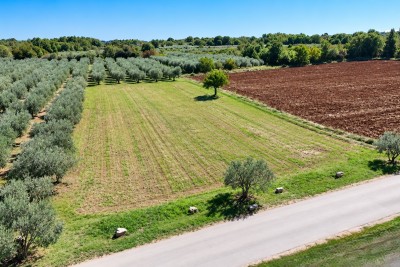 Prostrano građevinsko zemljište za izgradnju 23 stana, 5 km od mora 3