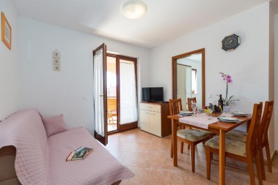 Novigrad – Dva apartmana u jednom stanu u zgradi s bazenom 8