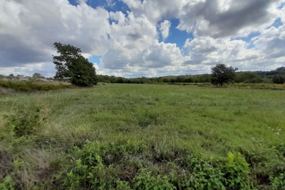 Agricultural land near the construction zone