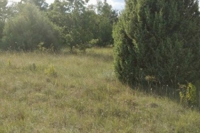 Attractive agricultural land with a house of 76m2 3