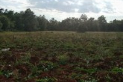 Attractive agricultural land with a house of 76m2 12