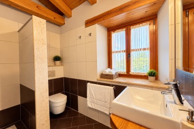 Poreč okolica, predivna kamena vila sa velikim vrtom 18