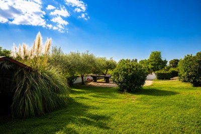 Poreč – Casa a Piano Terra con Piscina e Ampio Giardino 19