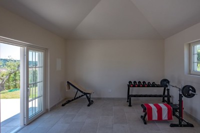 Poreč okolica, vila s grijanim bazenom i panoramskim pogledom 25