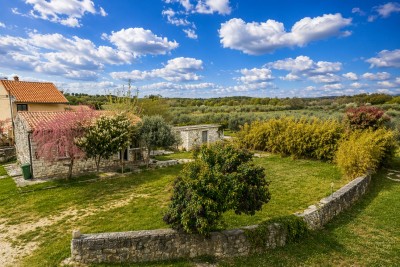 Šarmantna kamena kuća s pomoćnim objektom na prostranom zemljištu 6
