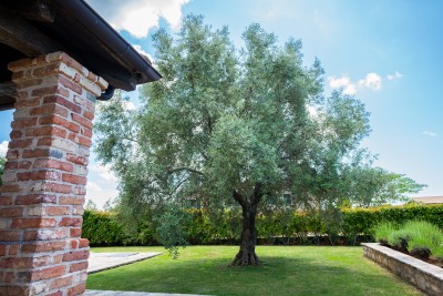 Šarmantna istarska vila s bazenom i mediteranskim vrtom 49