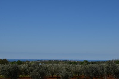 Land with a sea view in the vicinity of Poreč