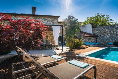 Središnja Istra, Obnovljena kamena vila s bazenom 8