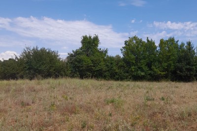 Agricultural land in an attractive location