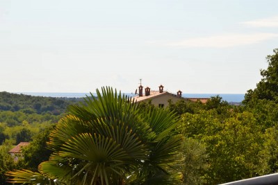 Una casa con due appartamenti e un bel giardino 14