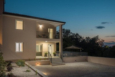 Eine neue, komplett eingerichtete Villa mit Swimmingpool in einem ruhigen Dorf in der Nähe von Poreč 3