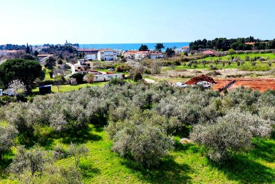 Cittanova – Terreno edificabile per 12 appartamenti, 500 m dal mare