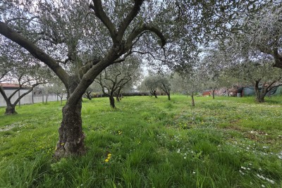 Casa 28 m², terreno 1.124 m² – a soli 500 m dal mare e dallo stadio principale ATP 15