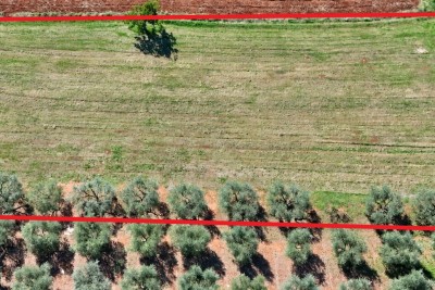 Prostrano građevinsko zemljište za izgradnju 23 stana, 5 km od mora 4