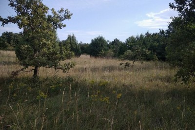 Attractive agricultural land with a house of 76m2 14