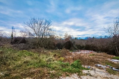 Prostrano građevinsko zemljište 11km od Poreča sa pogledom na šumu