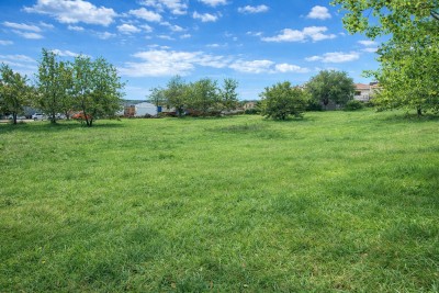 Ampio terreno edificabile a 4 km dal mare – possibilità di costruire 3 unità abitative 5