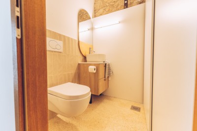 Novigrad okolica, unikatna kamena vila s bazenom 15