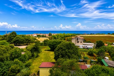 Novigrad area, stone terraced house 800 m from the sea 19