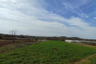 Poljoprivredno zemljište na odličnoj poziciji blizu građevinske zone