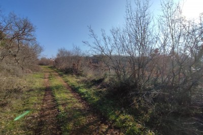 Poljoprivredno  zemljište nedaleko od Poreča