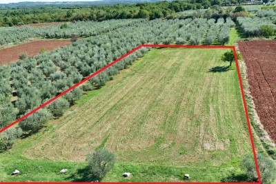 Prostrano građevinsko zemljište za izgradnju 23 stana, 5 km od mora