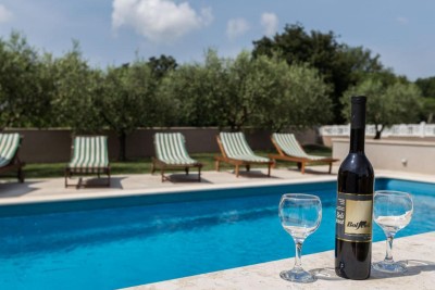 Prekrasna vila sa velikom okućnicom 22