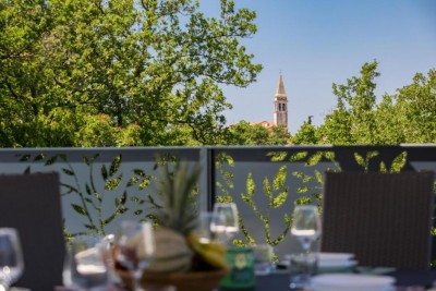 Eine neue, komplett eingerichtete Villa mit Swimmingpool in einem ruhigen Dorf in der Nähe von Poreč 4