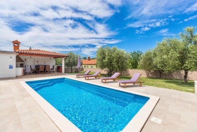 Prekrasna vila sa velikom okućnicom 3