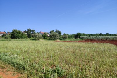 OPPORTUNITY! Building land of regular shape in the vicinity of Porec