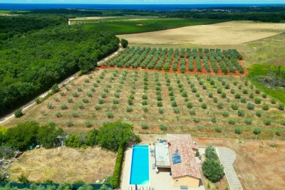 Private oasis: House with a view of the sea and the nature of the Istrian peninsula