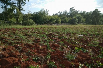 Attractive agricultural land with a house of 76m2