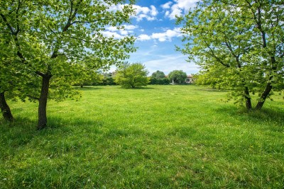 Ampio terreno edificabile a 4 km dal mare – possibilità di costruire 3 unità abitative 3